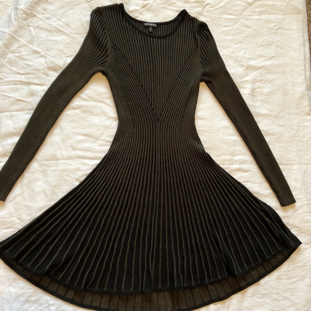 Express Skater Sweater Dress